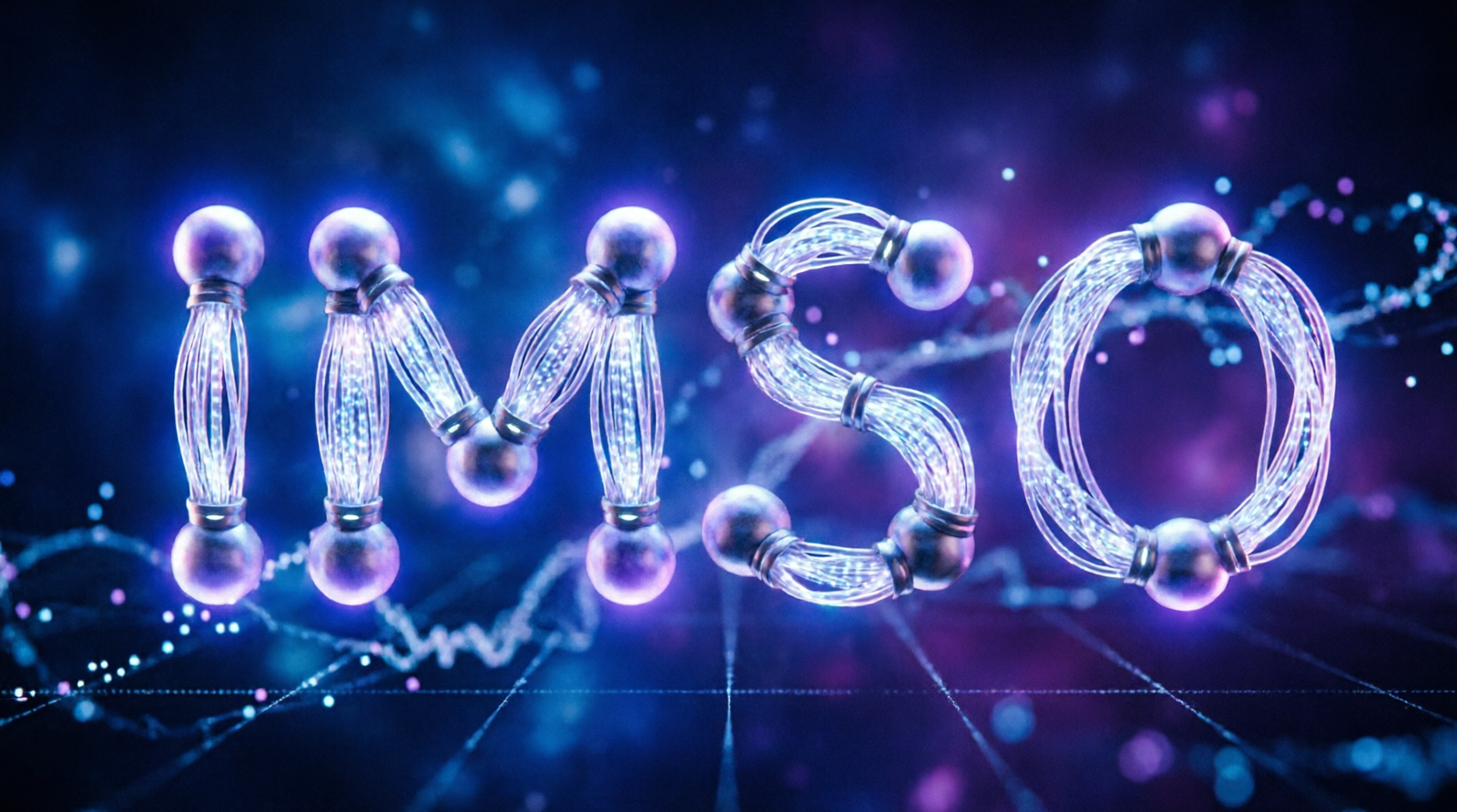 What Does IMSO Mean in Text