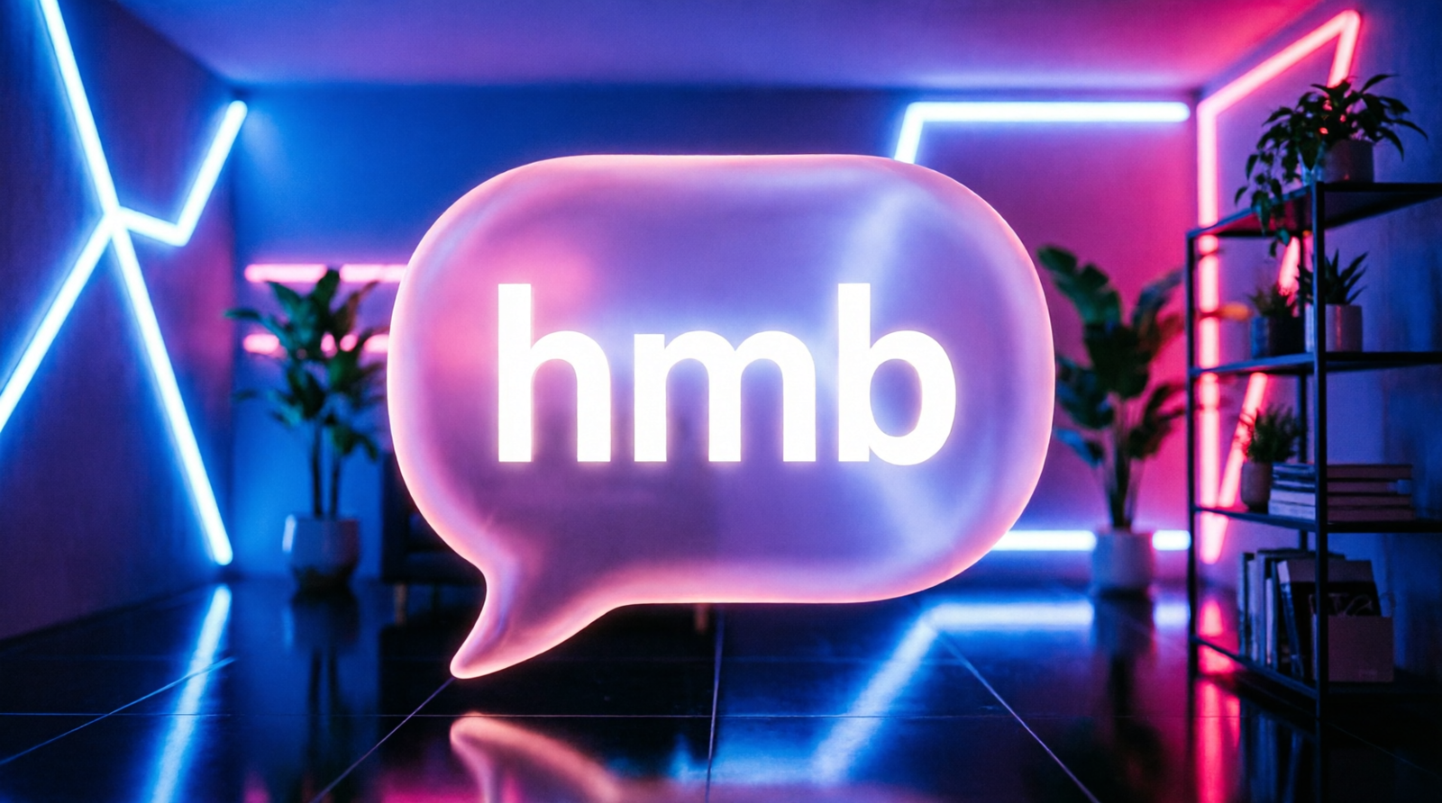 what does hmb mean in text from a guy